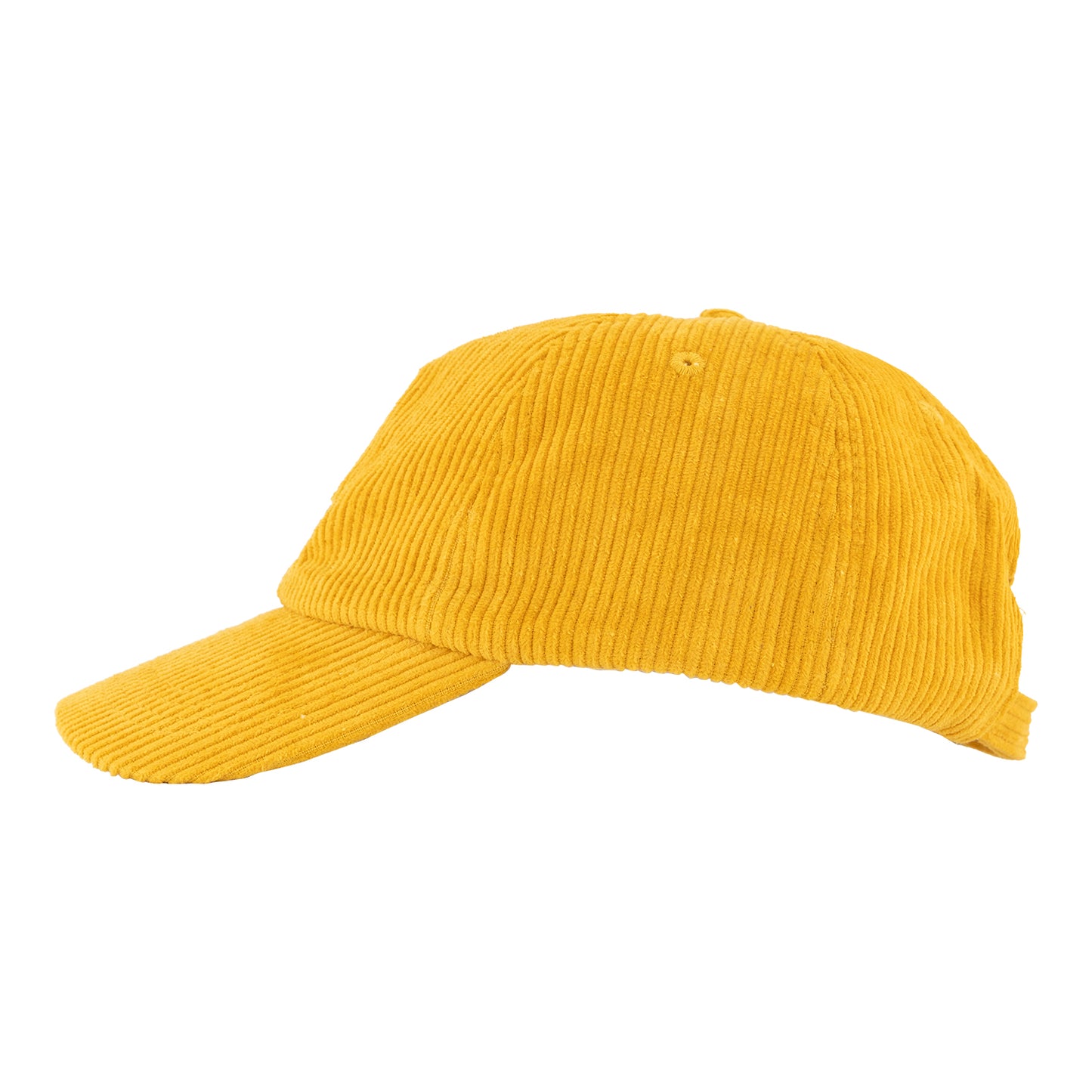 Alligator Corduroy Hat